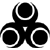 Zora
